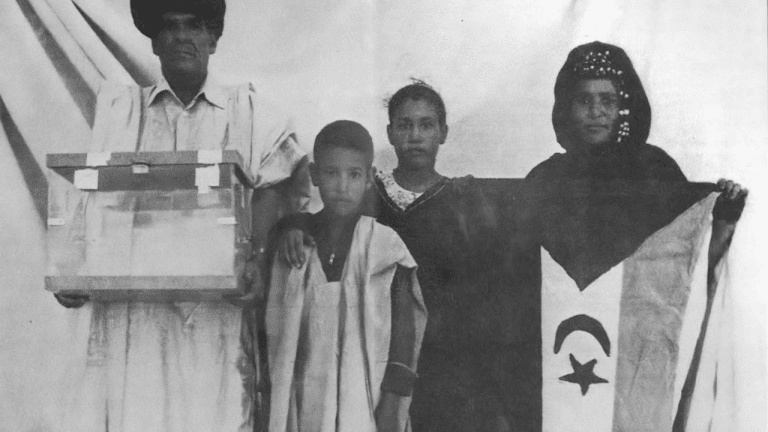 Memoria gráfica saharaui 50 años